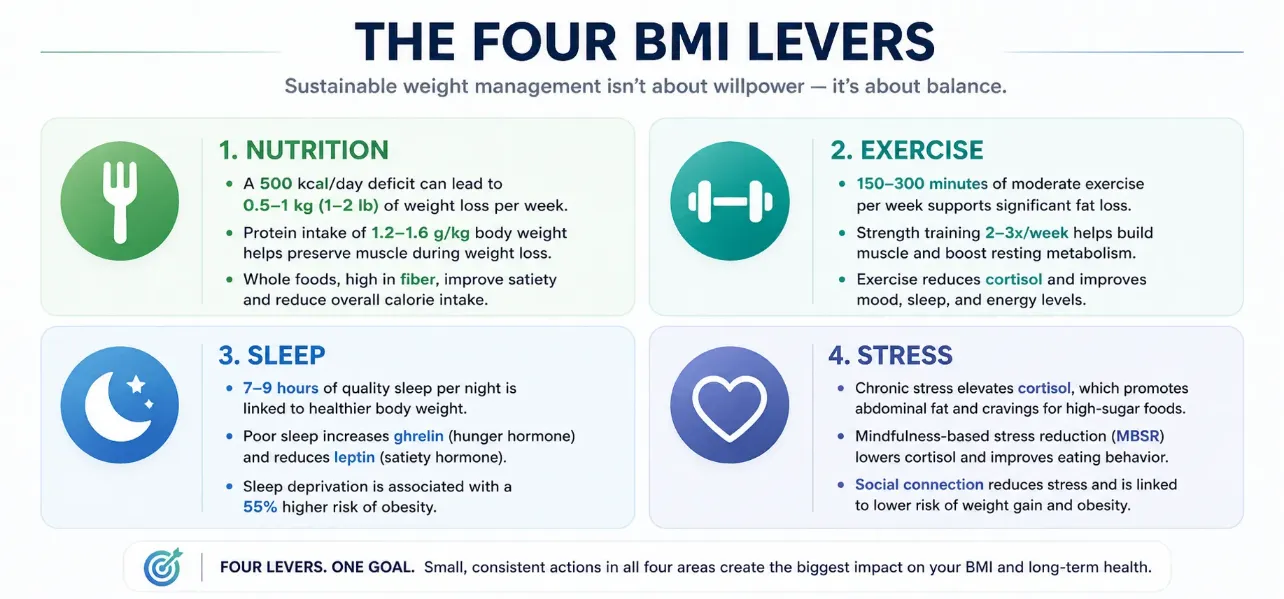 Infographic showing the four pillars of BMI reduction: nutrition, exercise, sleep, stress management